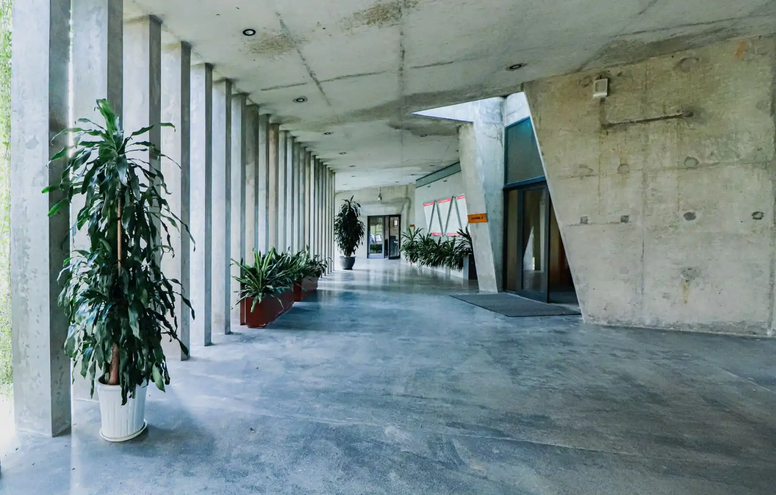 石雕艺术在山东园林建筑中的应用案例与工艺解析