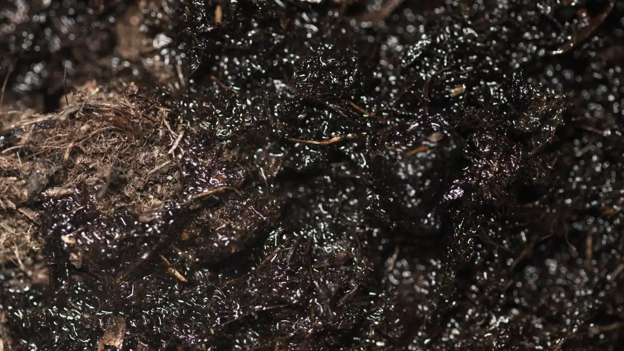 园林石雕装饰在现代景观设计中的功能性应用与美学价值分析